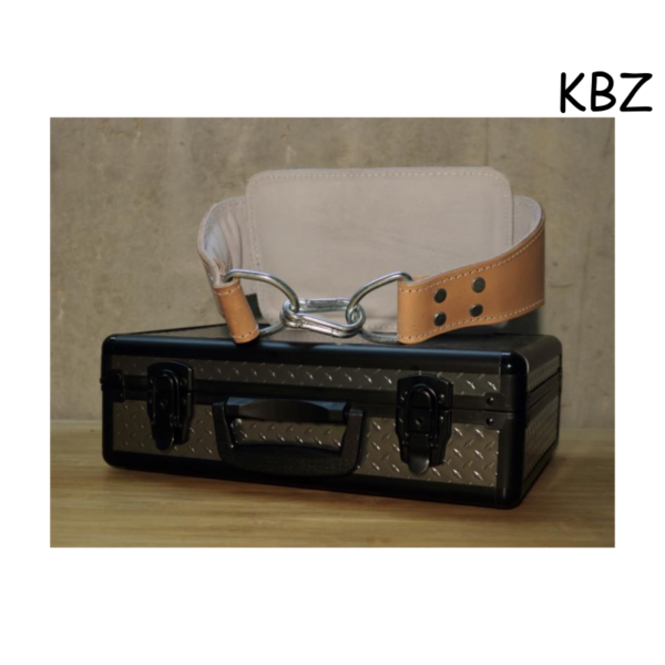 Ceinture de lest street workout PRO